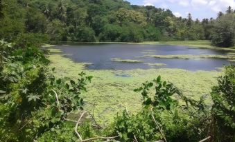 Lake View Home Stay Tangalle