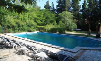 a large outdoor swimming pool surrounded by trees , with several lounge chairs placed around it at Hotel Ermitage