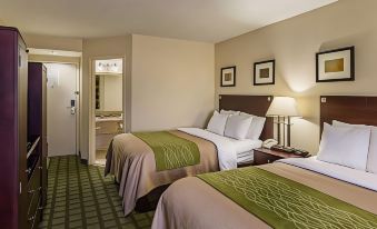 Comfort Inn & Suites Southwest Freeway at Westpark