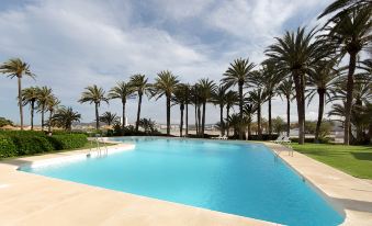 a large , empty swimming pool surrounded by palm trees and grass , with the sun shining through the clouds at Parador de Javea