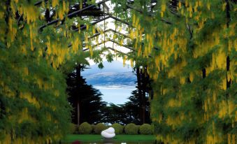 Camp Estate by Larnach Castle