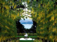 Camp Estate by Larnach Castle