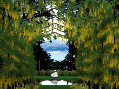 Camp Estate by Larnach Castle Отели в г. Данидин