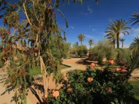 Kasbah 123 Soleil Hôtels à : Skoura