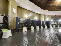 Sayuri - Hot Springs