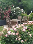 Rosindell Cottage Hotel a Bad Rothenfelde