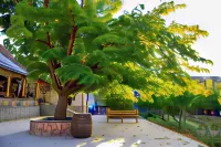 Areni Wine Art Hotels near Arpa Protected Landscape