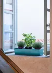Guesthouse Lila - Ocean View