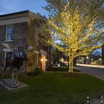 Governor's Rock Motel Hotels in Arlington