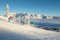 시티 피셔 디자인 아파트