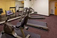 Holiday Inn Express & Suites SAN ANTONIO RIVERCENTER AREA by IHG - spa