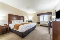 Comfort Inn Festus-St Louis South