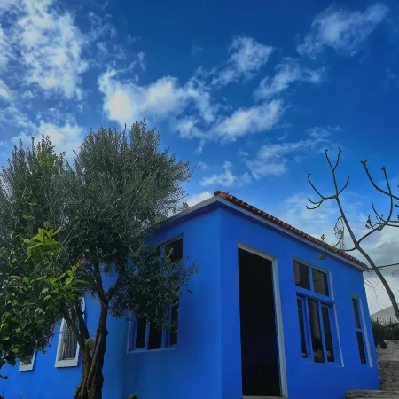 Olea Azul