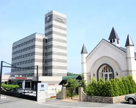 三次大酒店 三次市酒店
