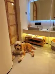 Burjin Bu Guri BGULI Design Holiday Home (Irtysh River Branch) - Gym