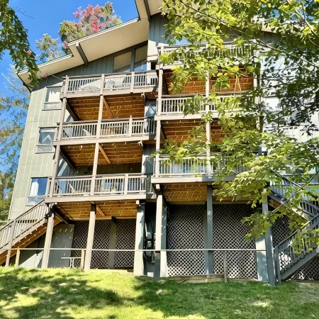 Ski in/out, AC, Gas Fireplace, Wifi, Coffee Bar, 1 Dog ok!