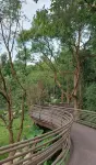 Daishan Xiandao Hotel - vue sur la montagne