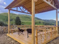 Genie Ziyue Mountain Retreat Homestay (Zeba Village)