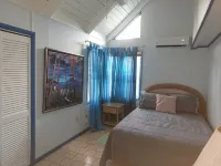 Charming Standalone 3-bedroom villa with AC and WiFi in lovely Frigate Bay - piscine