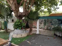 Casa, "Joy of the Sea"