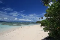 Comfortable villa, swimming pool, tropical garden, near beach st Anne, 8 pers - Villas