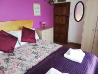 COSY COTTAGE WITH REAL FIRE AND FABULOUS VIEWS IN CARMARTHENSHIRE, WALE - 2-Star