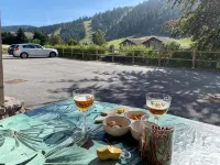 Ideal winter and summer, at the foot of the Gérardmer slopes with terrace, 2km from the lake - 3 stjerner