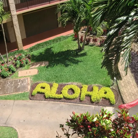 Spectacular Oceanfront! 2Br/2BA Papakea L-305 with A/C. No Resort Fee.