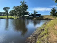 Private Cabin, 3 Bed Rooms, 2 Bath, nestled in the woods on a spring fed pond!!!