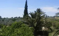 Villa Albero Limone Luxury 3 bedroom 4 bathooms farmhouse private pool and wif