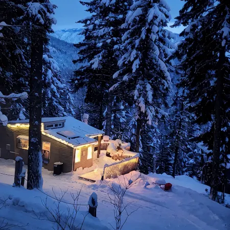 "Eagles Nest Cabin" REMOTE ESCAPE AWAY FROM EVERYTHING!