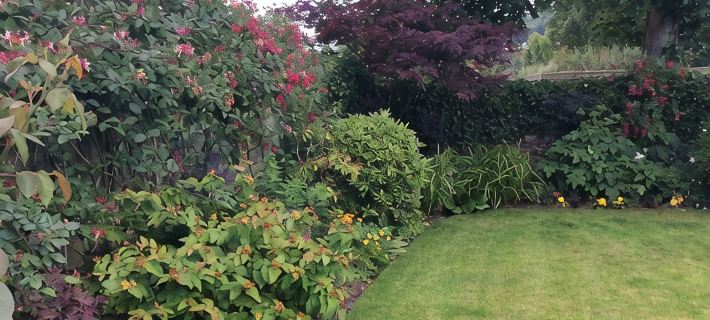Charming Cottage Sidmouth Devon.Easy walk or cycle ride by river to beach. Hotele w: East Devon District