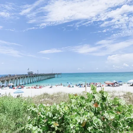 Perfect Florida house getaway ! 10 min from Venice beach !