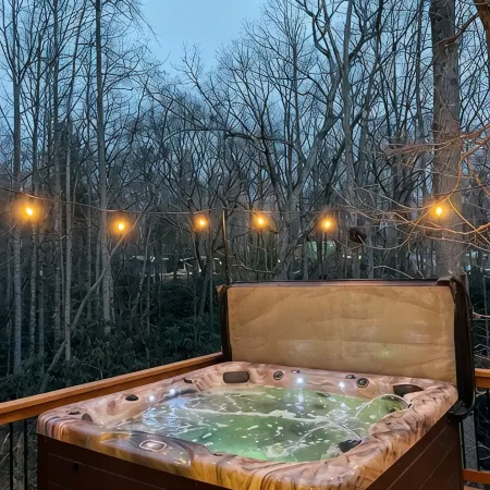 Lazy Bear - HotTub, Pet Friendly, Firepit, Game Room,Private home close to AVL.