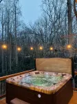 Lazy Bear - HotTub, Pet Friendly, Firepit, Game Room,Private home close to AVL.