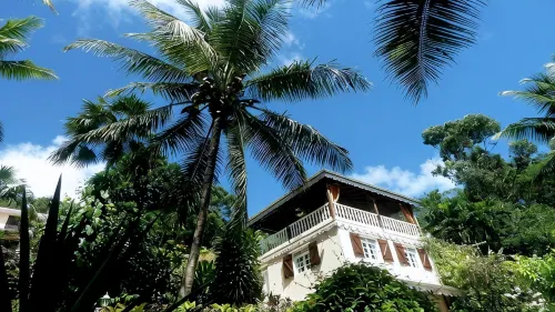 Charming studio in a tropical garden. with swimming pool, free wifi and parking. - 2 звезды