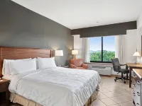 Holiday Inn PANAMA CANAL by IHG Hotéis em Ancon