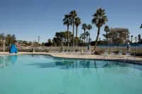 Desert Oasis Walking Distance to Festivals. Pet Friendly! - 3성급