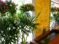 Casa Narinya @ Suvarnabhumi Airport - Bintang 3