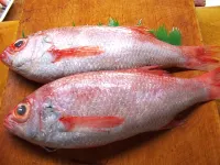 Kappo Tsunen Minshuku Yamaya