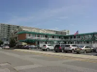 Dolphin Inn