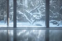 Tanakaya - Hot Springs
