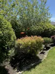 Full advantage of 180 degree PANORAMIC view of OCEAN & MOUNT BAKER
