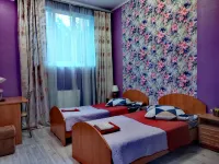 Alyonka Mini-Hotel 푸슈킨 호텔