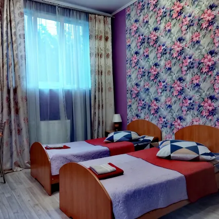 Alyonka Mini-Hotel Отели в г. Пушкин