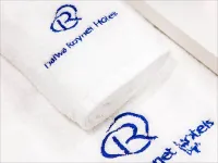 Daiwa Roynet Hotel Hiroshima-Ekimae - romantici