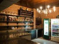 Vila Romana Park Hotel - bar