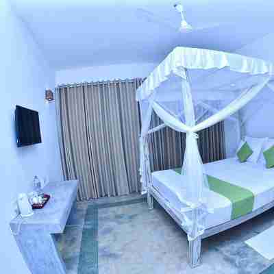 Aurora Rooms
