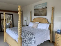 Elegant Coastal Retreat with Ocean Views, Hot Tub & Dog Friendly - Boutique