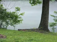 Cool River Cottage - on the Little Red River - 3-Star